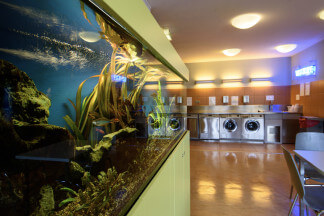 Oberräder Haus Waschsalon Aquarium